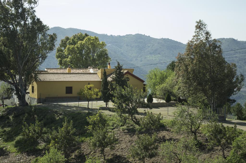 Rural Montes Malaga: Lagar Don Sancho Villa Room photo